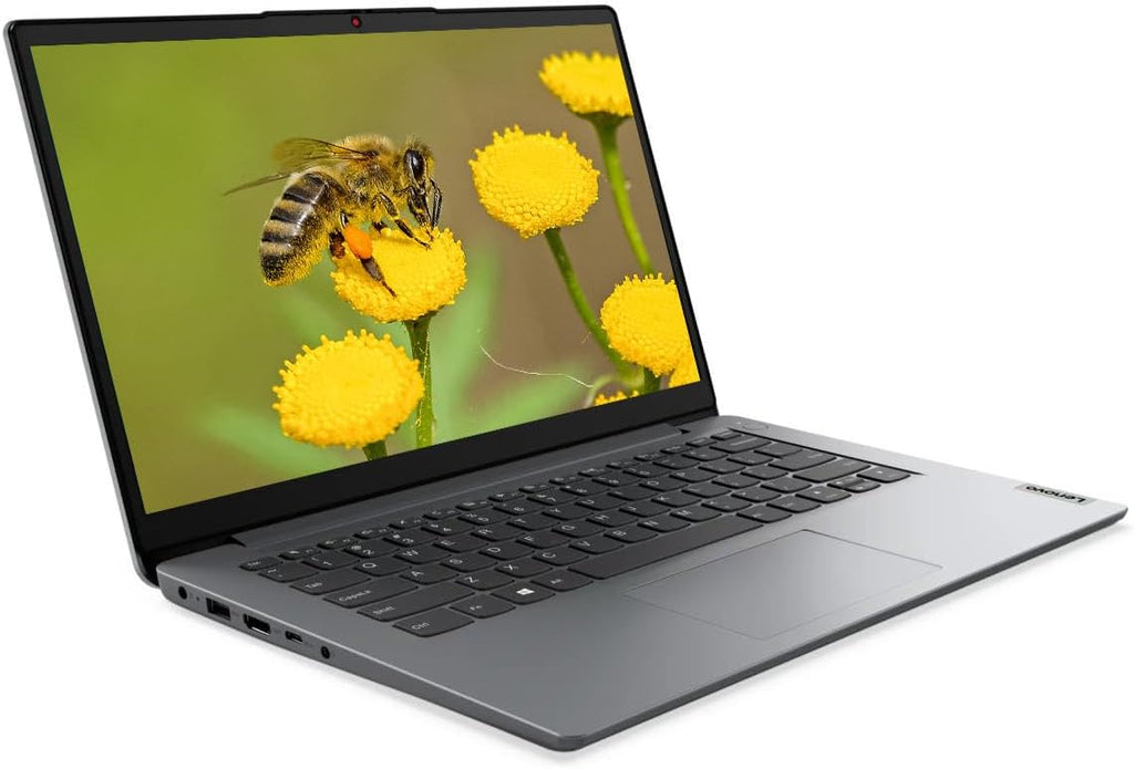 Lenovo Premium 14' Laptop, Intel Pentium Processor Up to 3.0GHz, 4GB Memory, 256GB SSD, WiFi, HDMI, Windows 11 (Gray) (Renewed)