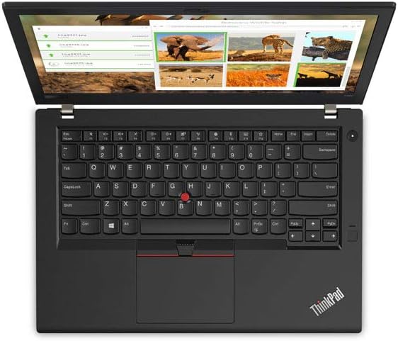 Lenovo ThinkPad T480 14' HD Business Laptop (Intel 8th Gen Quad-Core i5-8250U, 16GB DDR4 RAM, Toshiba 256GB PCIe NVMe 2242 M.2 SSD) Fingerprint, Thunderbolt 3 Type-C, WiFi, Windows 10 Pro - Black