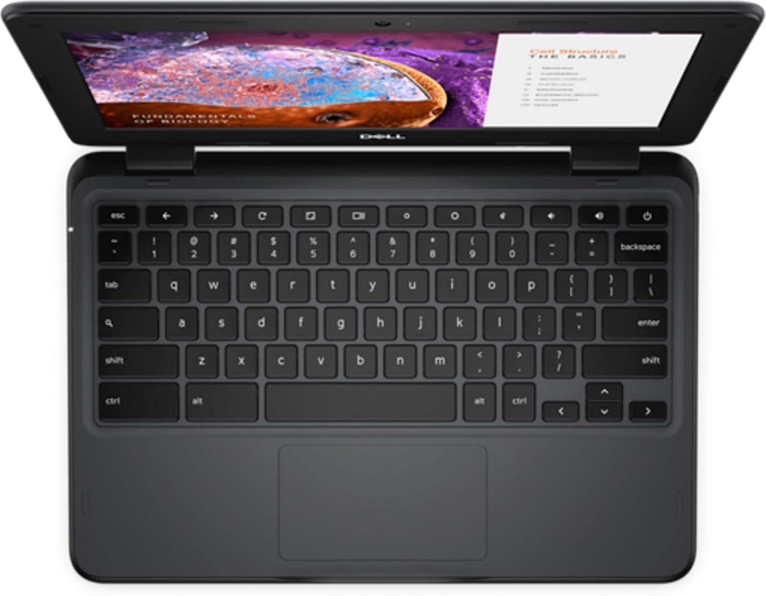 Dell Chromebook 3110 Laptop (2022) | 11.6' 1366x768 HD | Celeron - N4500-32GB SSD Hard Drive - 4GB RAM | 2 cores @ 2.8 GHz Chrome OS Black (Renewed)