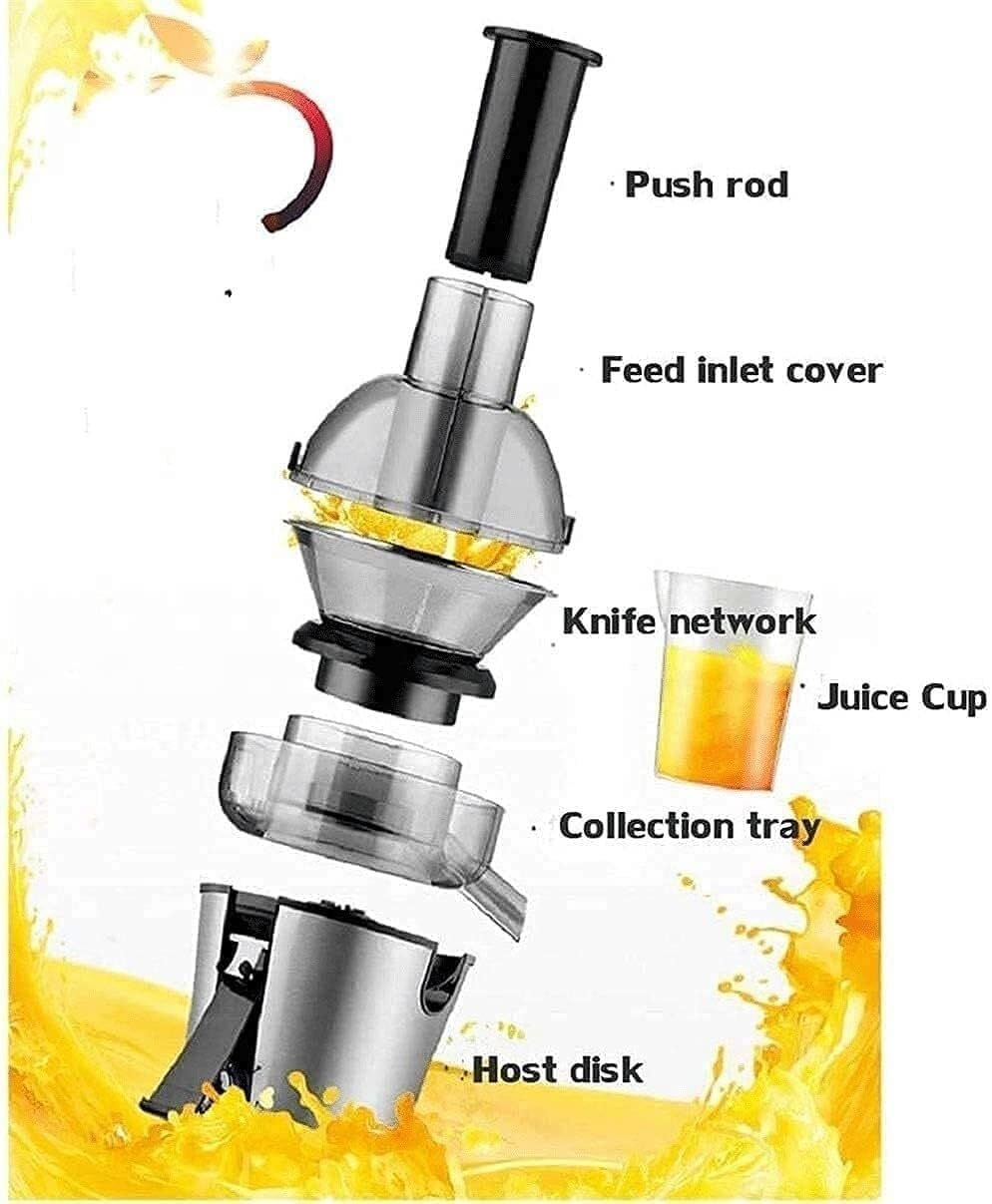 3-Speed Centrifugal Juicer, Powerful Stainless Steel Juicer Extractor for Fruits & Vegetables, Easy to Clean with Pulse Function
