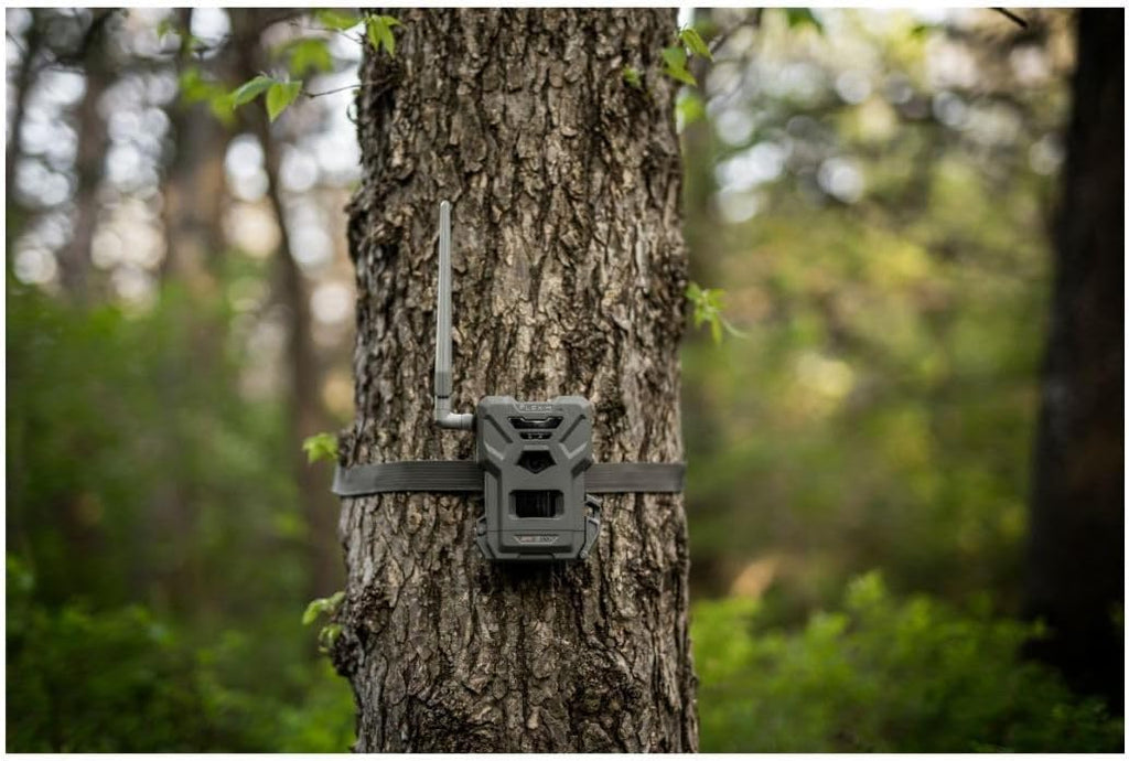 SPYPOINT Flex-M Twin Pack Cellular Trail Cameras - Best Hunting Accessories, No WiFi Needed, GPS, Night Vision, Dual-Sim LTE, IP65 Water-Resistant Game Camera, 28MP Photos, 720p Videos + Sound (2)