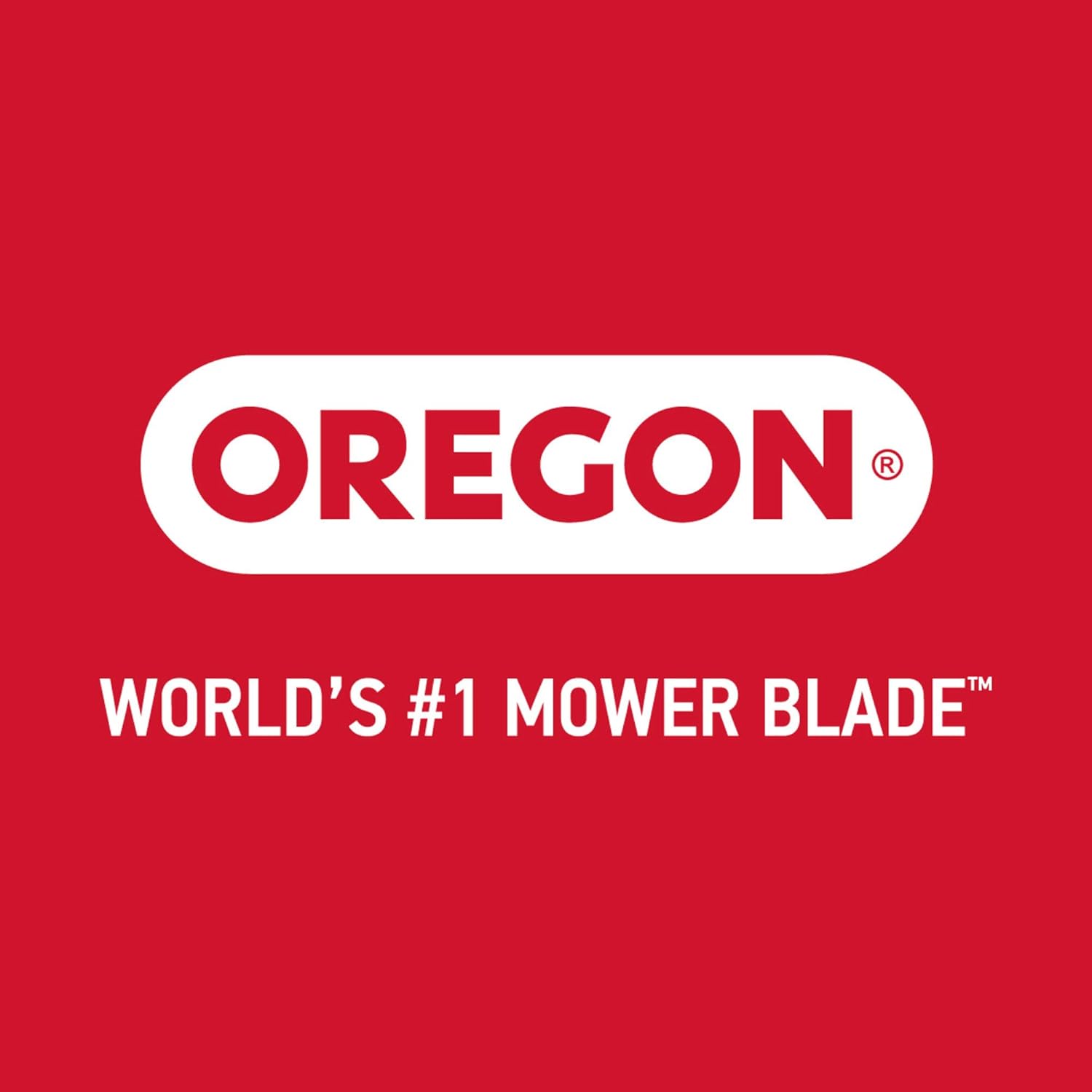Oregon Economy Lawn Mower Blade Sharpener and Grinder, 1/3 HP 88-025, 1750 RPM Motor & Precision Blade Balancer, Balances Blades After Sharpening