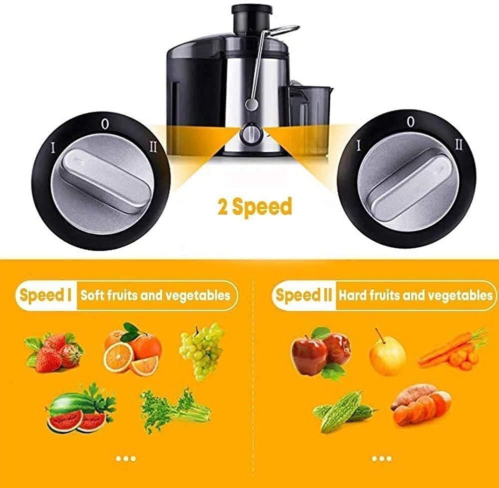 800W Centrifugal Juicer, Multifunctional Fruit & Veg Juice Maker, Stainless Steel, 2 Speeds, Safe, High Juice Yield, Easy to Clean