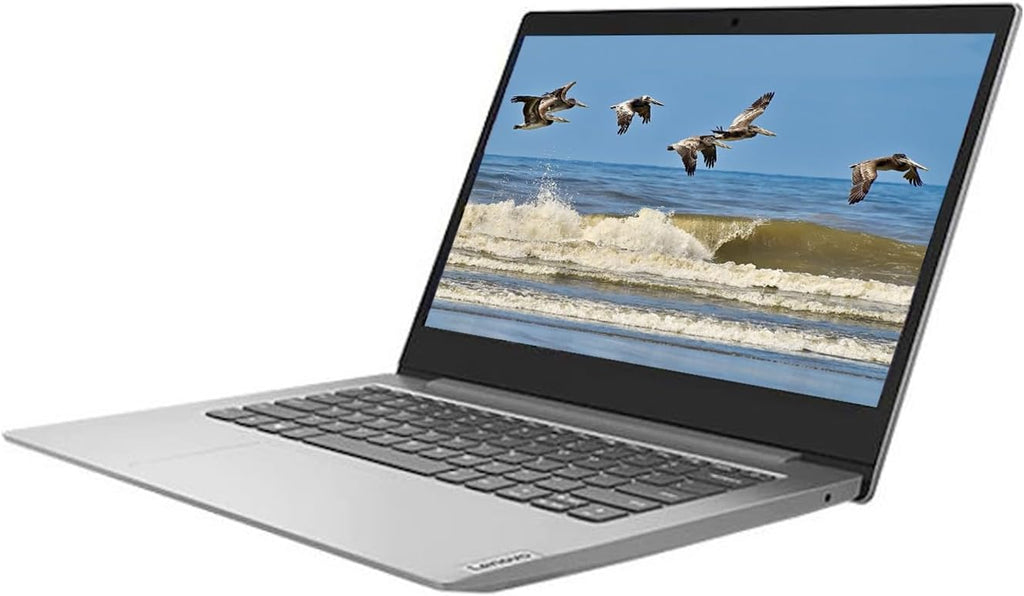 Lenovo IdeaPad 1, 14' Notebook, Full HD(1920 x 1080), AMD Athlon Silver 3050e Dual-core (2 Core) 1.40 GHz, 4 GB RAM, 128 GB SSD, Windows 11 Home, HDMI, Platinum Gray, EAT 64GB SD Card