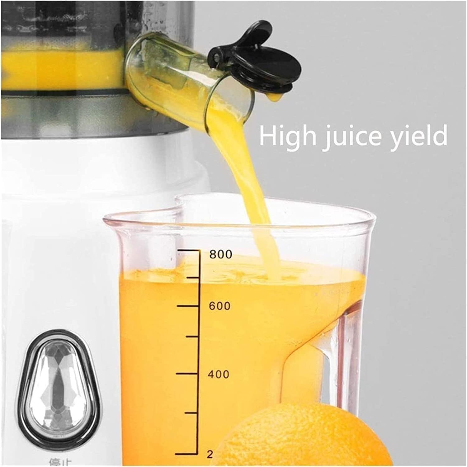 Slow Juicer Machine, Cold Press Juicer with Reverse Function, Easy to Clean, 98% Juice Yield, for Fruits & Vegetables, Includes Brush & Recipes