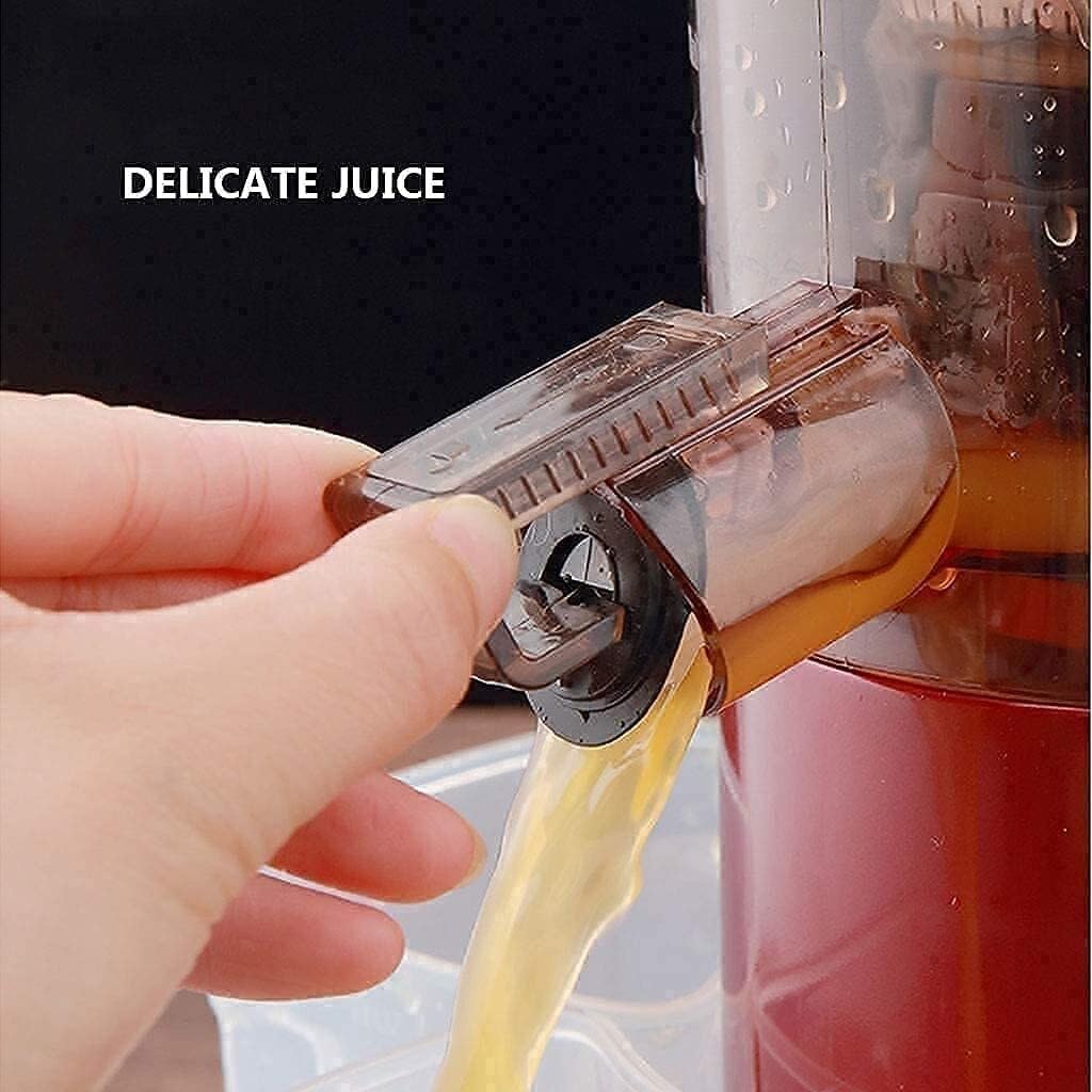 'Slow Masticating Juicer Machine, Whole Fruit Juicer with Double Mouth Separation, Higher Nutrients & Vitamins, Easy to Clean'