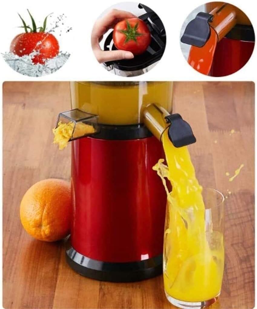 Slow Juicer, Cold Press Masticating Juicer for Celery, Fruits & Vegetables, Easy to Clean, 240W Low Noise, 800ml Capacity, Vertical Design