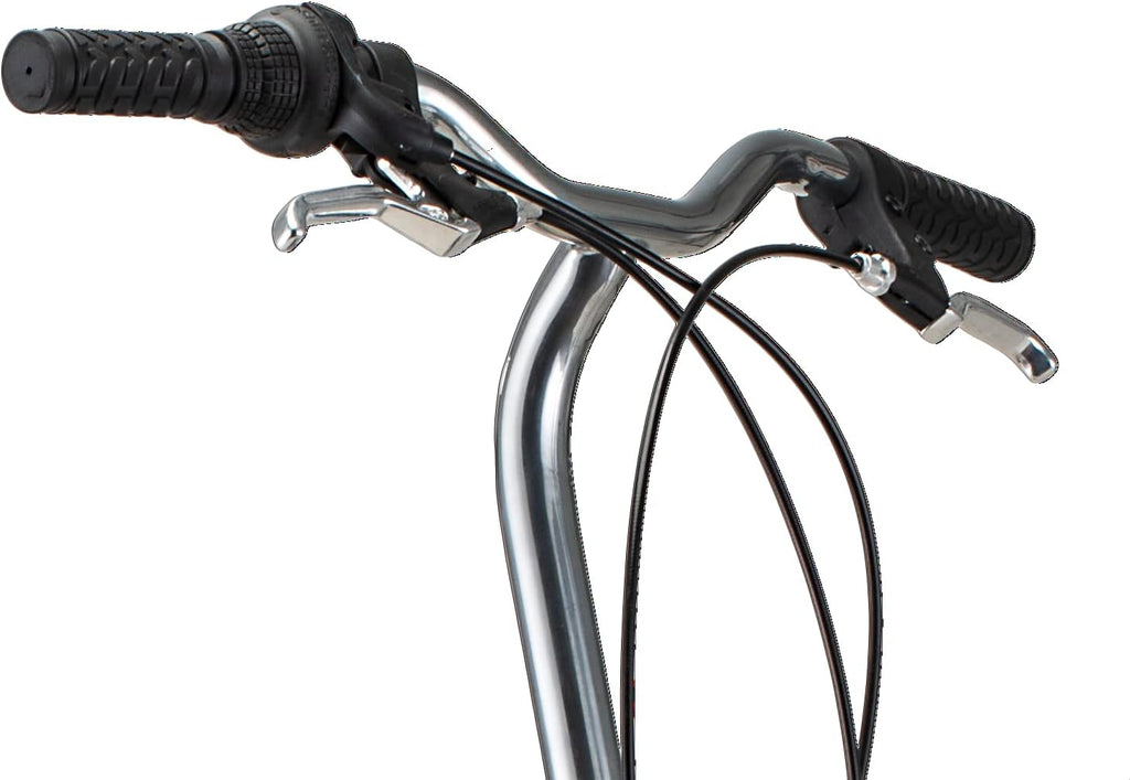 Schwinn Loop