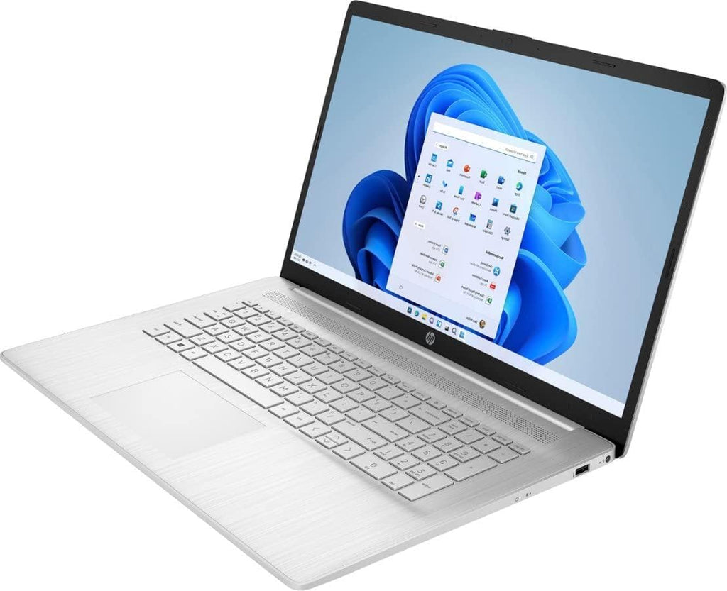 HP 17.3' Flagship HD+ Business Laptop, 16GB DDR4 RAM, 1TB PCIe SSD, Intel Quad Core i3-1125G4(Beat i5-1035G4), Bluetooth, HDMI, Webcam, Windows 11, Silver, w/GM Accessories