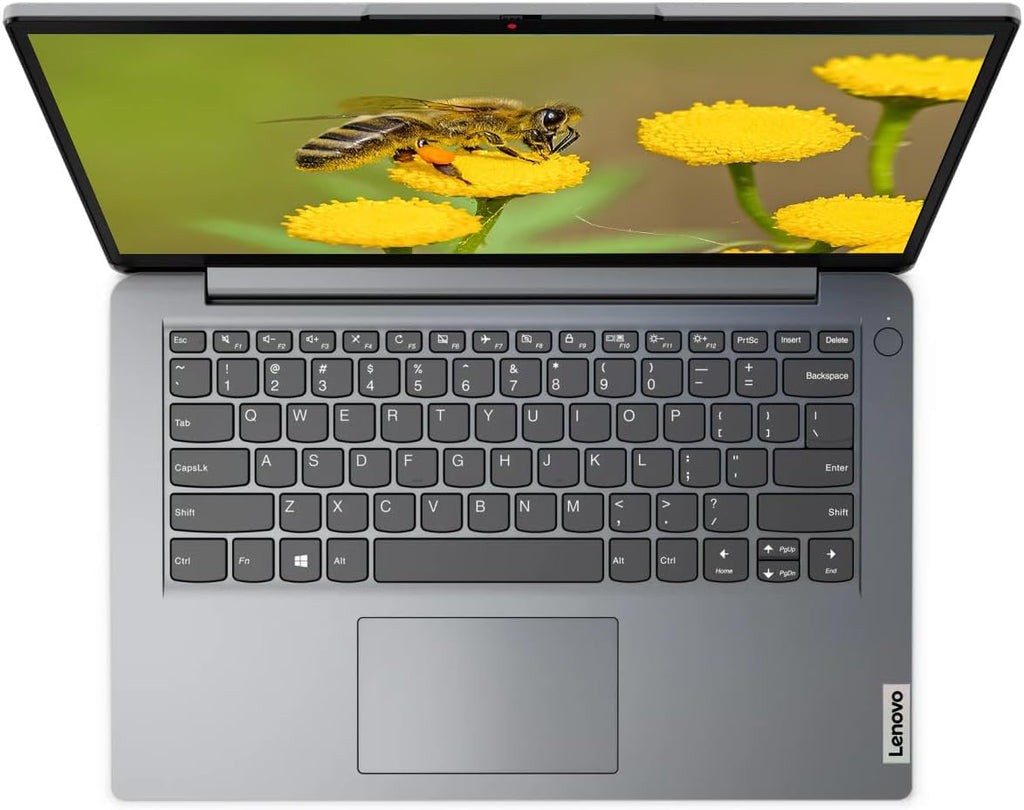 Lenovo Premium 14' Laptop, Intel Pentium Processor Up to 3.0GHz, 4GB Memory, 256GB SSD, WiFi, HDMI, Windows 11 (Gray) (Renewed)