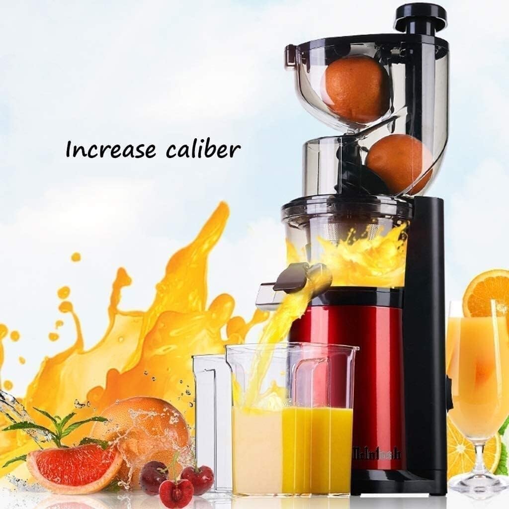 Slow Juicer, Cold Press Masticating Juicer for Celery, Fruits & Vegetables, Easy to Clean, 240W Low Noise, 800ml Capacity, Vertical Design