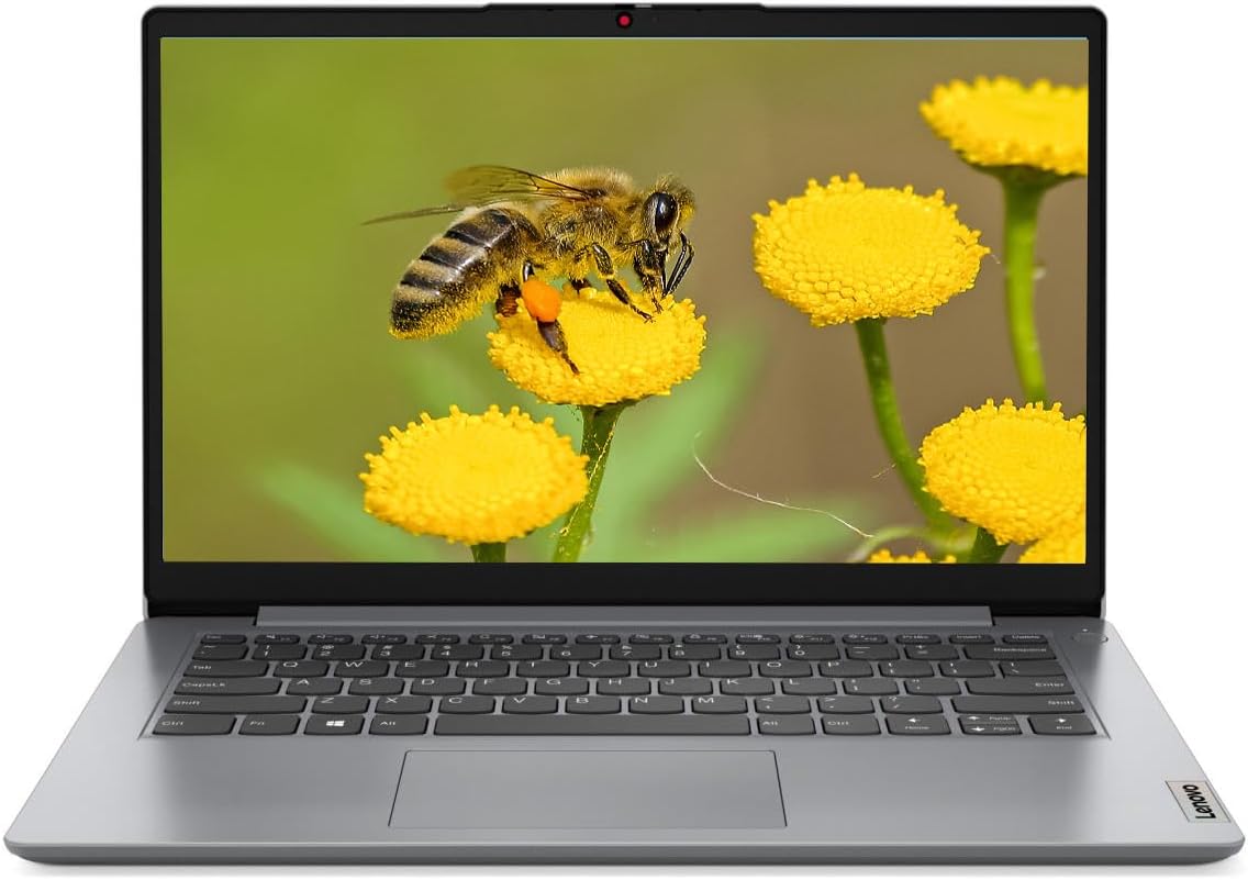 Lenovo Premium 14' Laptop, Intel Pentium Processor Up to 3.0GHz, 4GB Memory, 256GB SSD, WiFi, HDMI, Windows 11 (Gray) (Renewed)