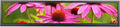 VSDISPLAY 24 Inch 1920x360 IPS Stretched Wide Bar Display for Gaming Marquee Monitor Cabinet,Supermarket Shelf Advertising Monitor with USB Video Interface