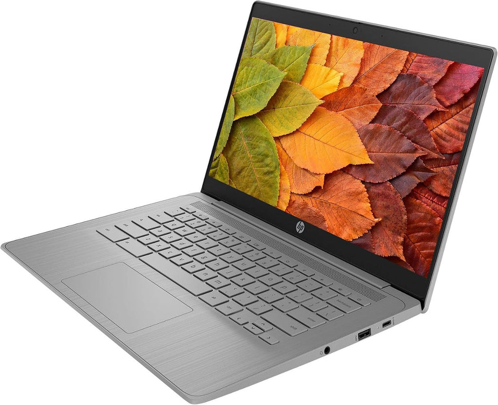 HP Chromebook Laptop Computer, 14' HD Display Chromebook Laptops, Intel Celeron CPU, 4GB RAM|192GB(64GB eMMC+128GB Card), Wi-Fi, Webcam, Chrome OS, Long Battery Life, for Student|Business, LE Cable