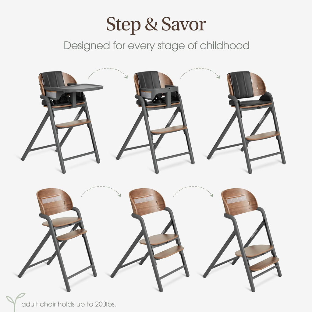 Evolur Step and Savor Baby High Chair, Converts to Adult Stool, 5 Position Adjustable Height and Footrest Positions Portable High Chair, Removable Tray, Easy to Clean and Removable Cushion