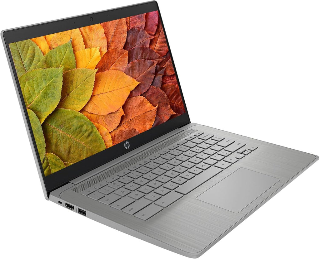 HP Chromebook Laptop Computer, 14' HD Display Chromebook Laptops, Intel Celeron CPU, 4GB RAM|192GB(64GB eMMC+128GB Card), Wi-Fi, Webcam, Chrome OS, Long Battery Life, for Student|Business, LE Cable