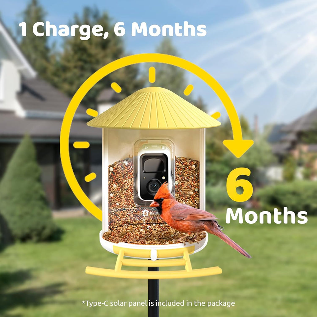 NETVUE by Birdfy Smart Bird Feeder with 2K AI Camera Solar Powered, 3MP Wireless Wildbird Watching, Live Stream & Night Vision, Auto-Capture & Notify, Collection & Cloud Storage (AI by Subscription)