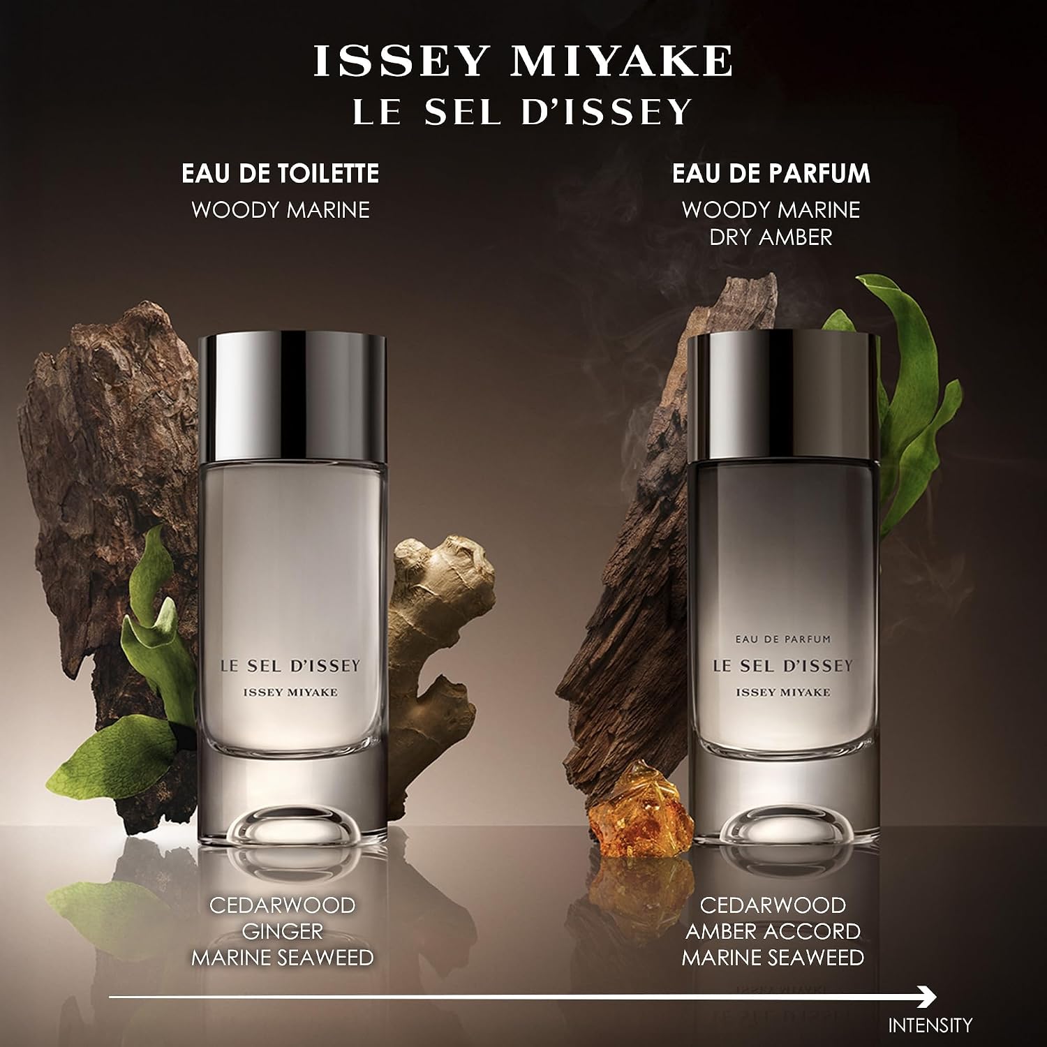 Issey Miyake Le Sel d'Issey Eau de Parfum - Warm Woody Marine Dry Amber Fragrance for Men - Salt Accord, Cedarwood, Marine Seaweed, Incense