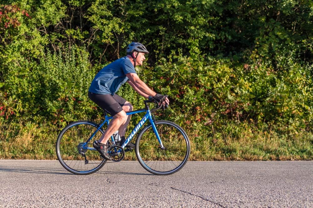 Schwinn Schwinn Fastback