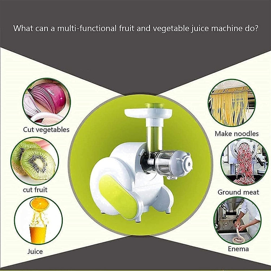 Slow Masticating Juicer, 95% Juice Yield, Cold Press, Quiet Motor, Easy to Clean, Nutrient-Rich, Food Grade, for Fruits, Vegetables, and Greens