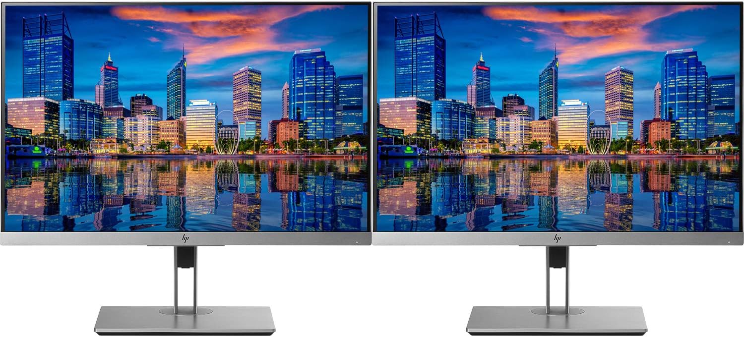 HP EliteDisplay E243i 24 Inch Screen LED Backlit 2-Pack Monitor (1FH47A8#ABA) Black and Silver