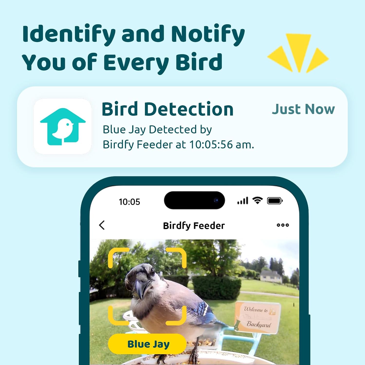 NETVUE by Birdfy Smart Bird Feeder with 2K AI Camera Solar Powered, 3MP Wireless Wildbird Watching, Live Stream & Night Vision, Auto-Capture & Notify, Collection & Cloud Storage (AI by Subscription)