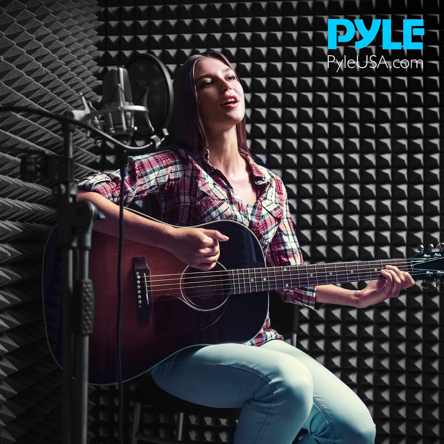 Pyle Acoustic Isolation Absorber Shield Sound Wall Panel Studio Foam and Dampening Wedge with Height Adjustable Stand, Black