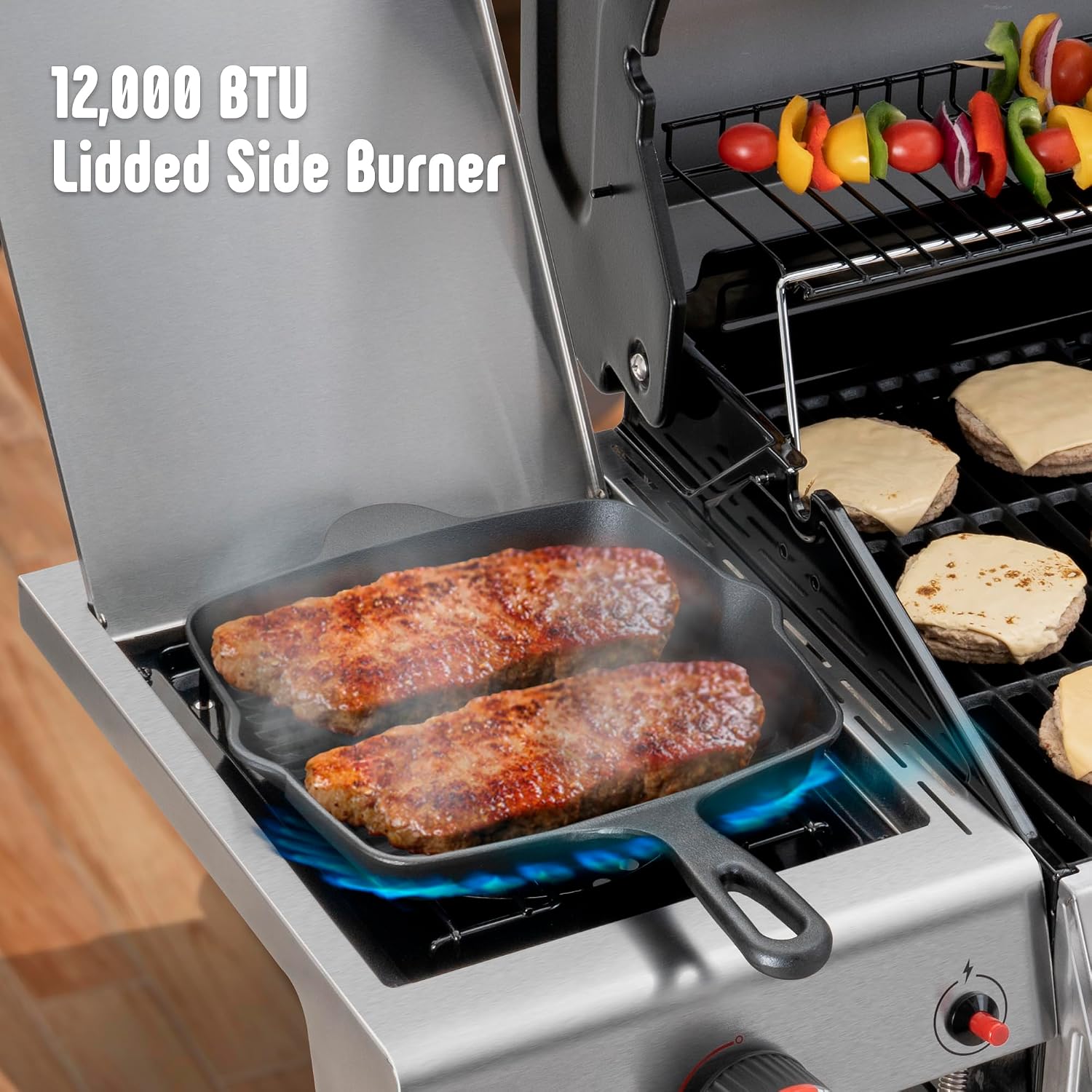 Feasto Propane Gas Grill, 36,000 BTU Outdoor Patio BBQ, Porcelain-Enameled Cookbox & Porcelain-Enameled Cast-Iron Grates, 559 Sq. In., Black (Black, 4) (Stainless Steel)