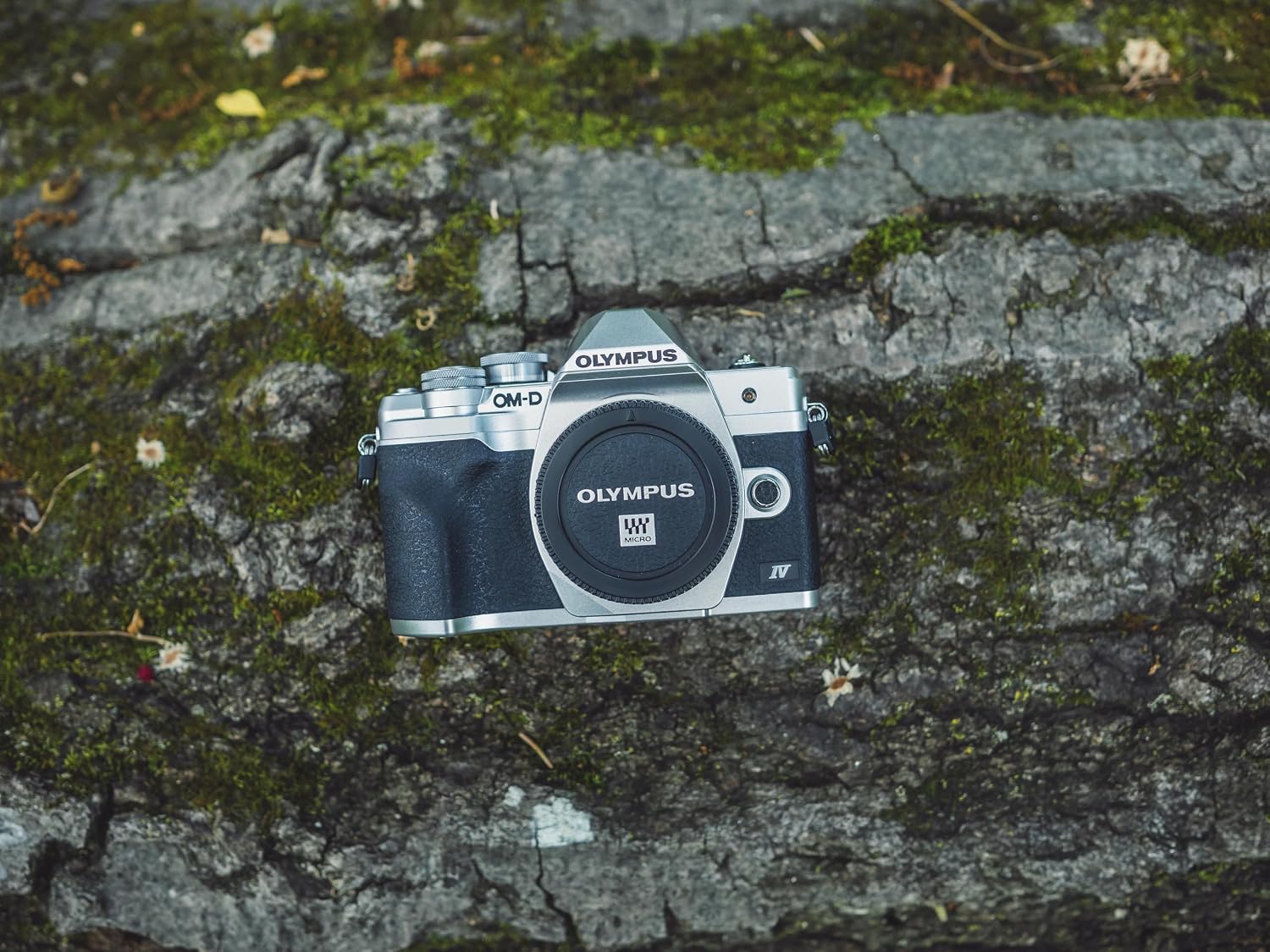 OM SYSTEM Olympus E-M10 Mark IV Silver Micro Four Thirds System Camera 20MP Sensor 5-Axis Image Stabilization 4K Video Wi-Fi