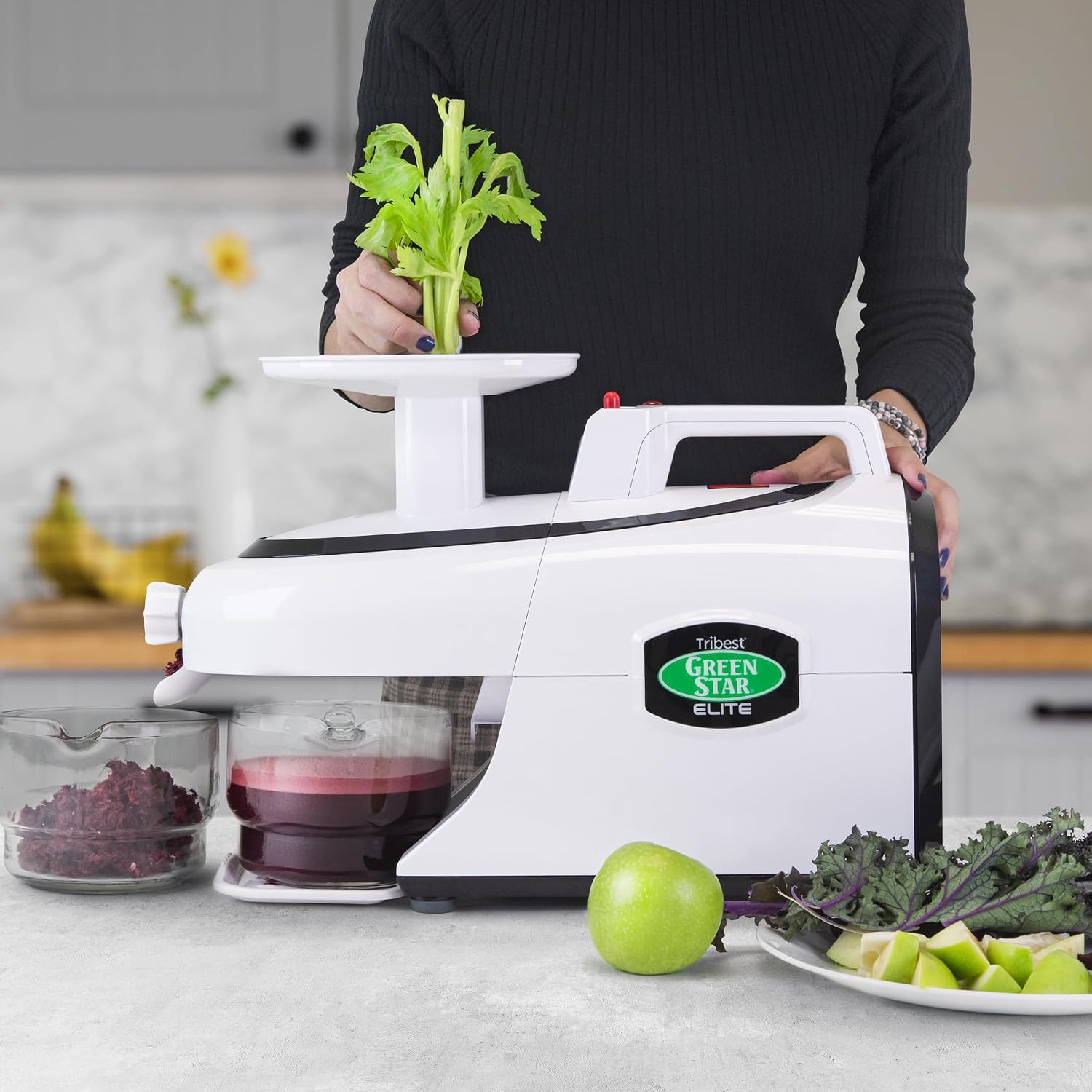 Tribest Greenstar GSE-5000 Elite Twin Gear Cold Press Slow Masticating Juicer (White)