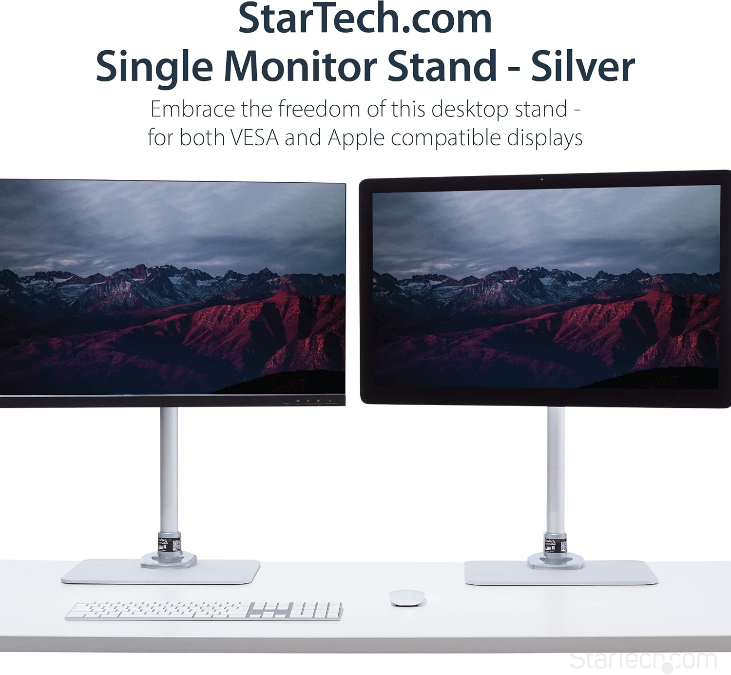 StarTech.com Single Monitor Stand, Adjustable, Supports UHD, iMac and Apple Thunderbolt Displays from 12'' to 34' (30.9lb/14kg), Premium Single Screen VESA Monitor Mount Stand, Silver, TAA