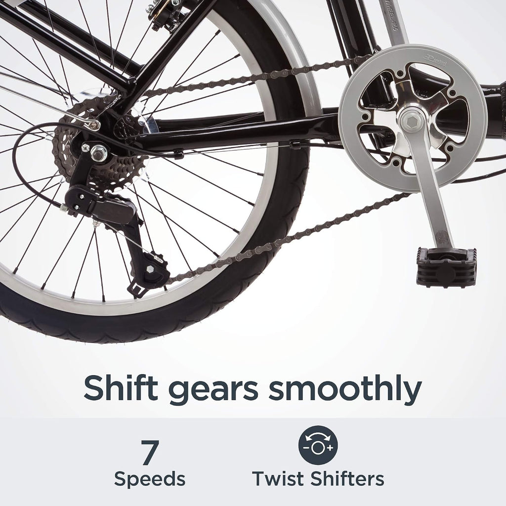 Schwinn Loop