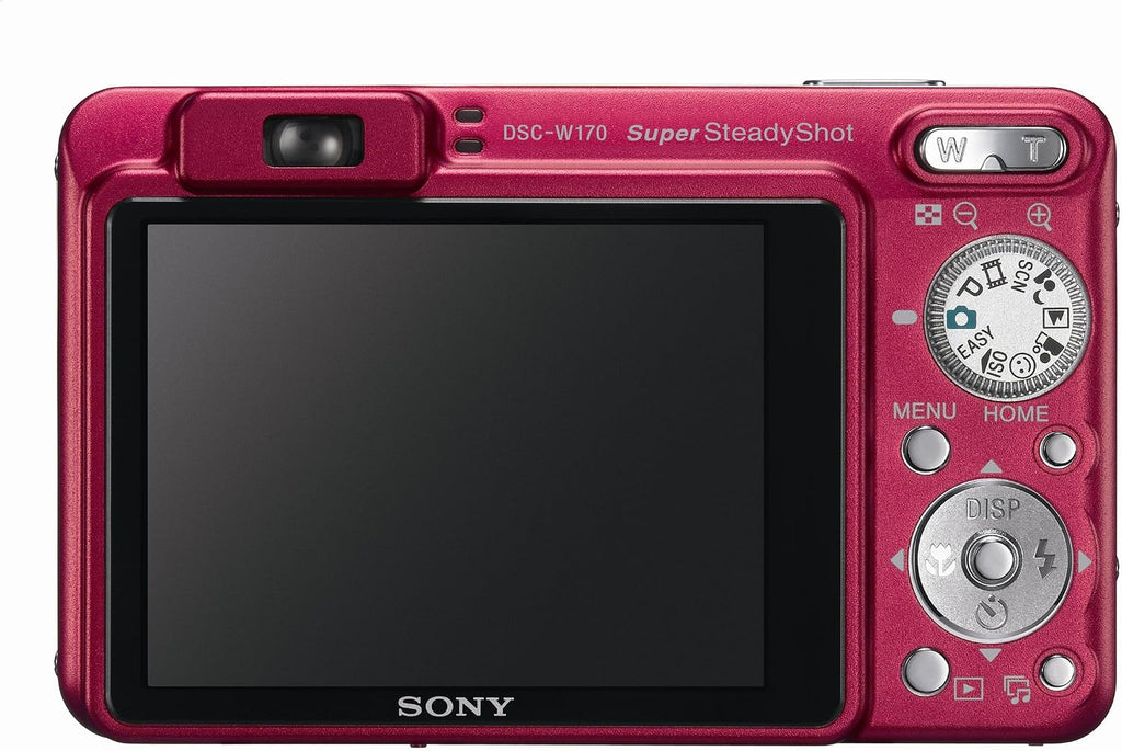 Sony Cybershot DSCW170/R 10.1MP Digital Camera with 5x Optical Zoom with Super Steady Shot (Red)