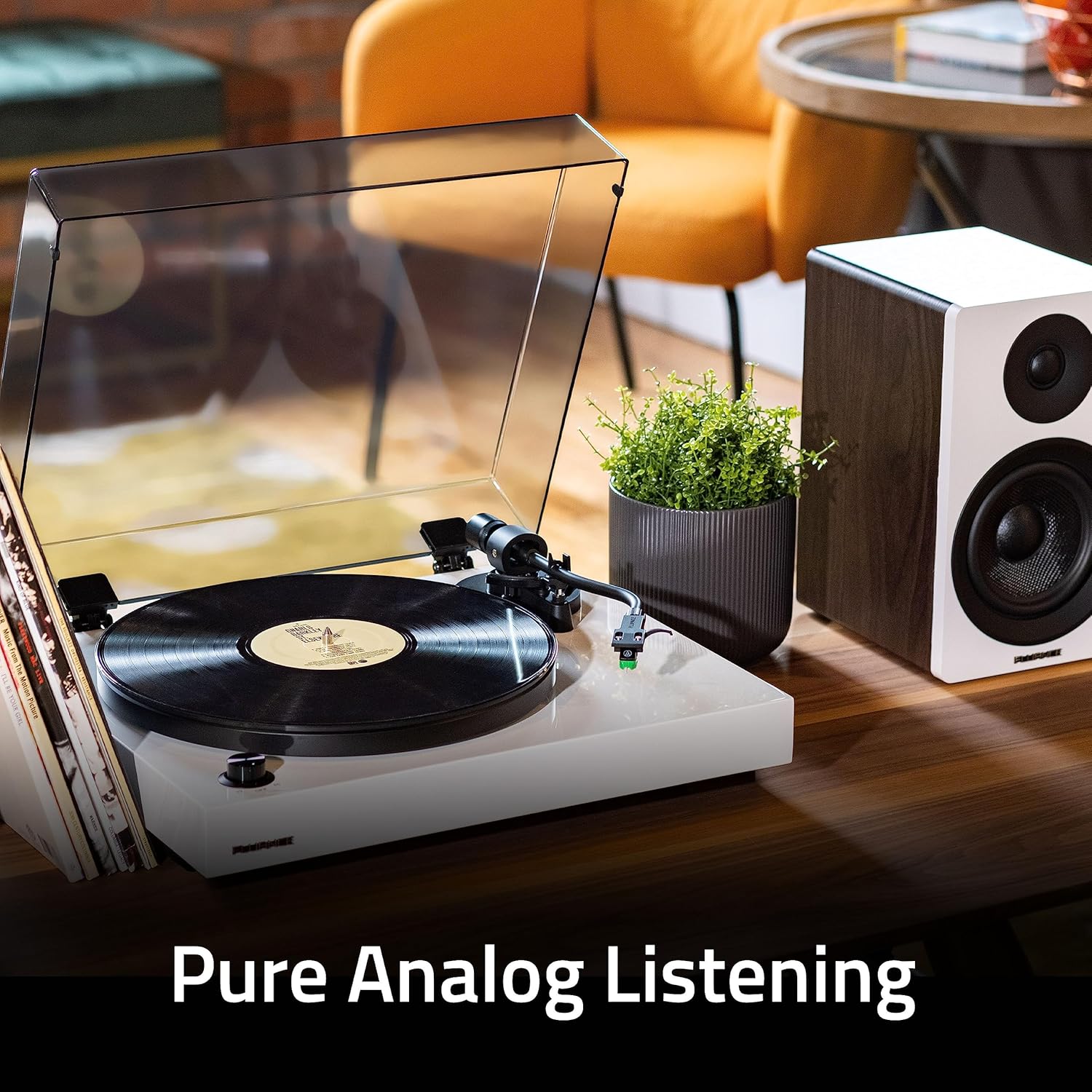 Fluance RT81+ Elite HiFi Vinyl Turntable (Piano Black) and Ai41 Powered Bookshelf Speakers (Black Ash) Bundle: High Fidelity Sound, Integrated Amplifier, Audio Technica Cartridge
