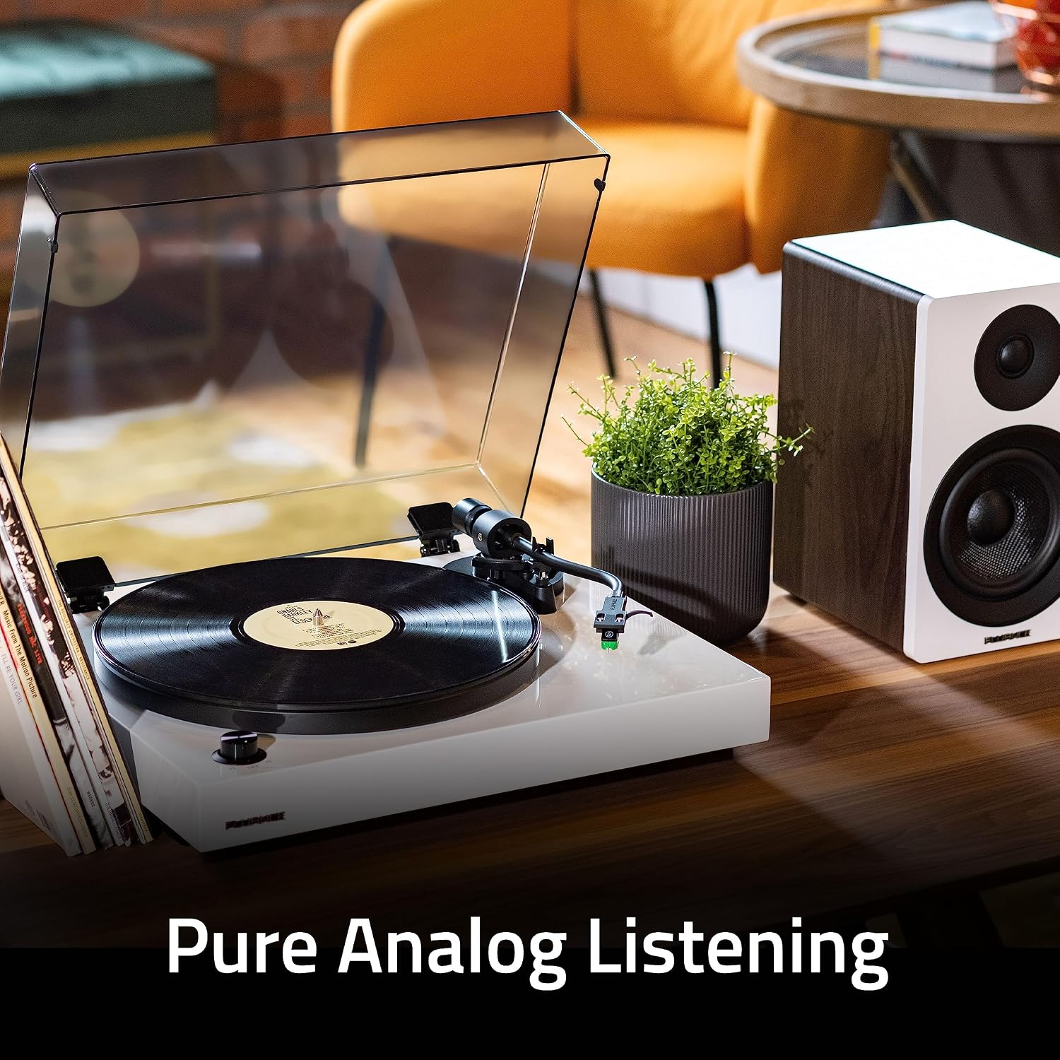 Fluance RT81+ Elite HiFi Vinyl Turntable (White) and Ai41 Powered Bookshelf Speakers (White Walnut) Bundle: High Fidelity Sound, Integrated Amplifier, Audio Technica Cartridge