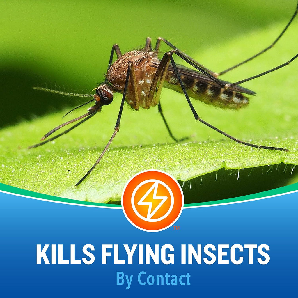 Cutter Insect Repellent, pack of 12, Brown