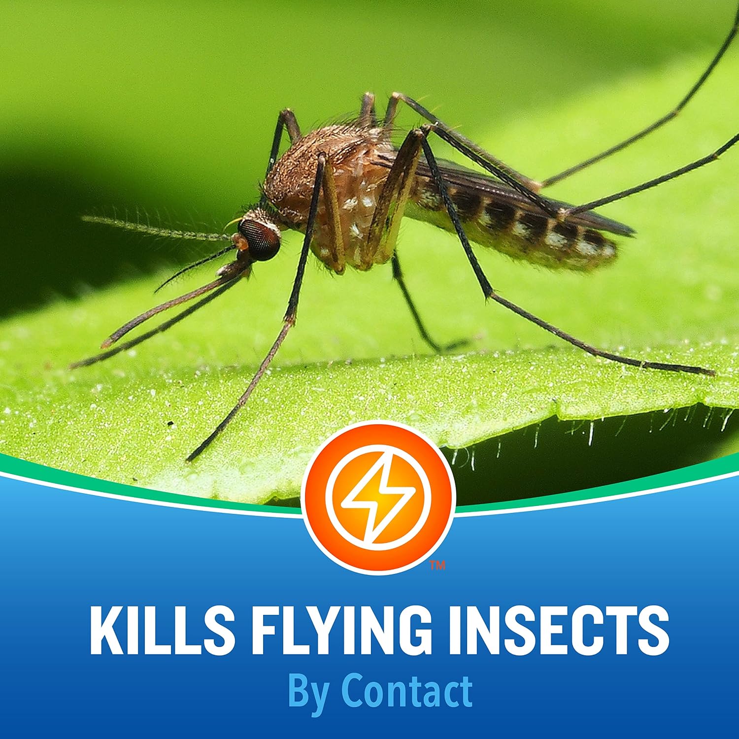 Cutter Insect Repellent, pack of 12, Brown