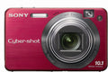 Sony Cybershot DSCW170/R 10.1MP Digital Camera with 5x Optical Zoom with Super Steady Shot (Red)